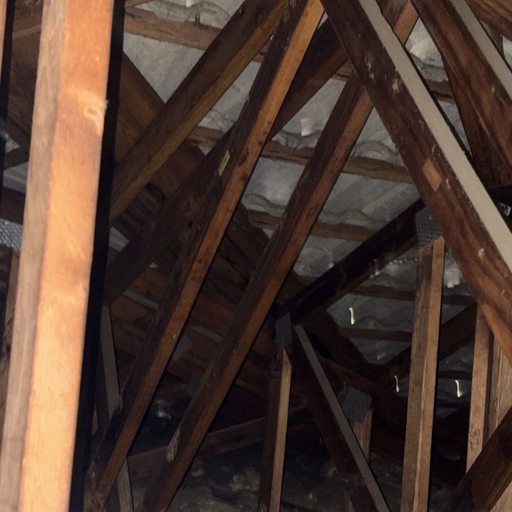 Pre-Purchase Building Inspections in Manor Lakes