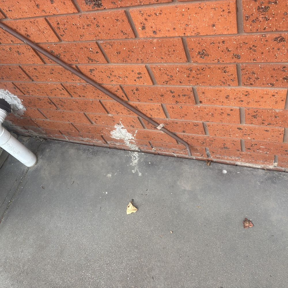 Water not drained away from the house, keeping the ground damp, found during a building and pest inspection in Braybrook