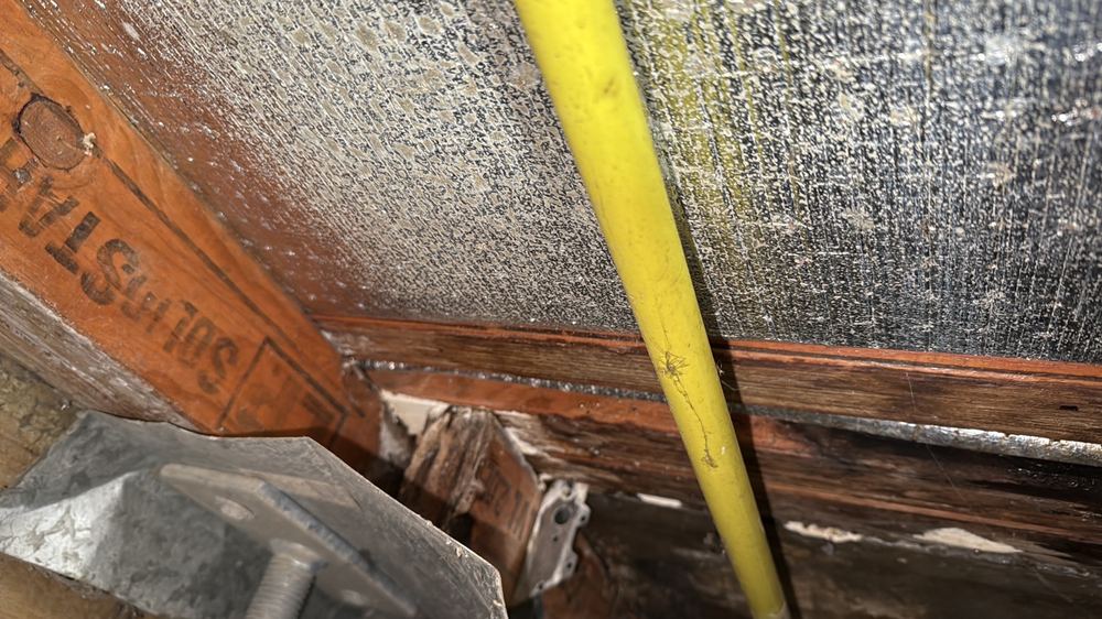 Wet subfloor timbers traced back to the shower above, Seddon, Manor Lakes